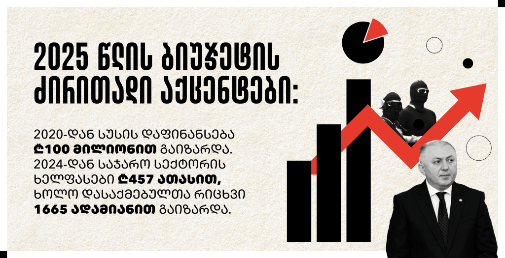 2025 წლის ბიუჯეტის ძირითადი&nbsp;აქცენტები